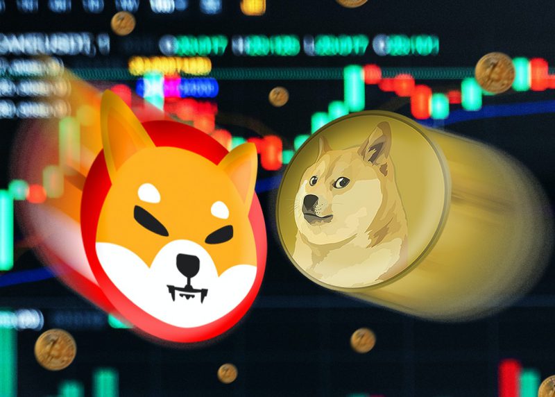 Shiba Inu Dogecoin Meme Coins