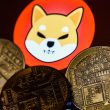 Shiba Inu: 108M SHIB Burned by a Single Wallet, Burn Rate Spikes by 300%