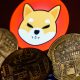 Shiba Inu: 108M SHIB Burned by a Single Wallet, Burn Rate Spikes by 300%