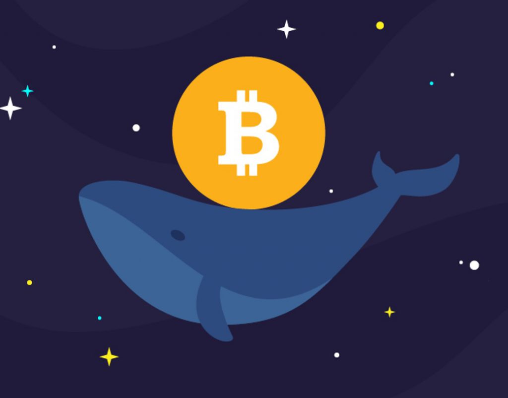 Bitcoin BTC Whale