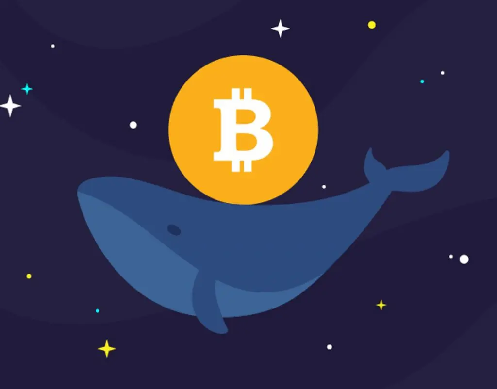 Bitcoin Whale