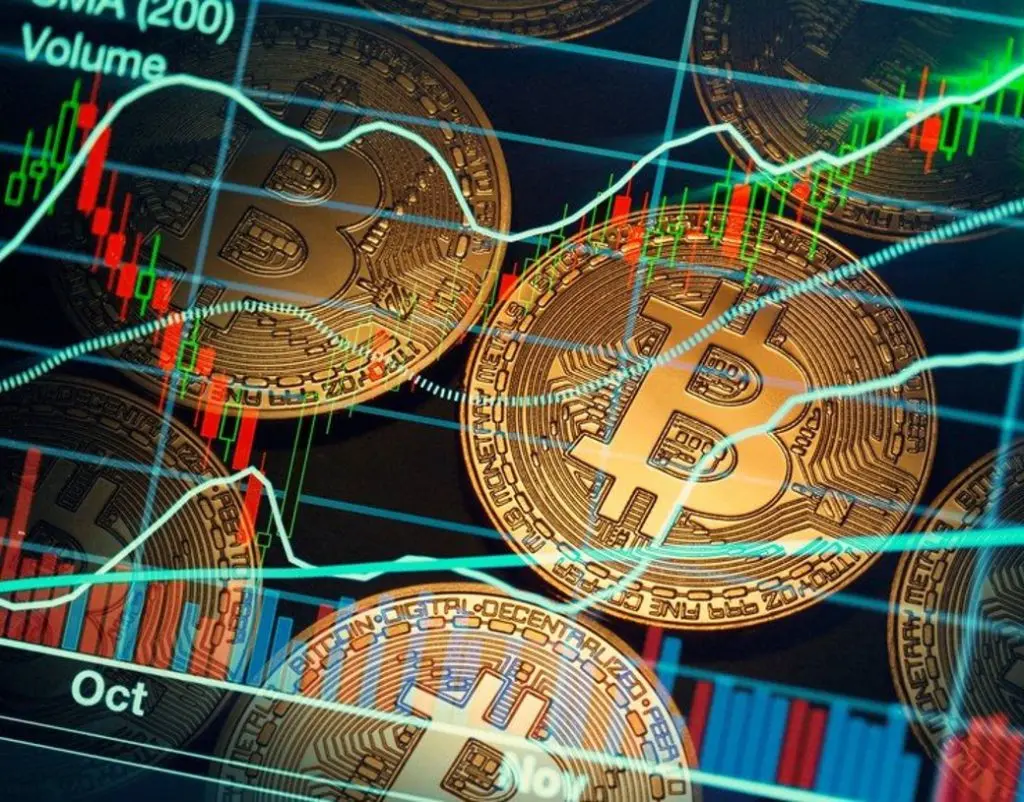 Is the Crypto Bear Market Rally in the Disbelief Phase?