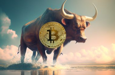 BTC Bitcoin Bull Run