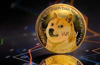 Dogecoin: 48% of the Supply Held by 10 Holders