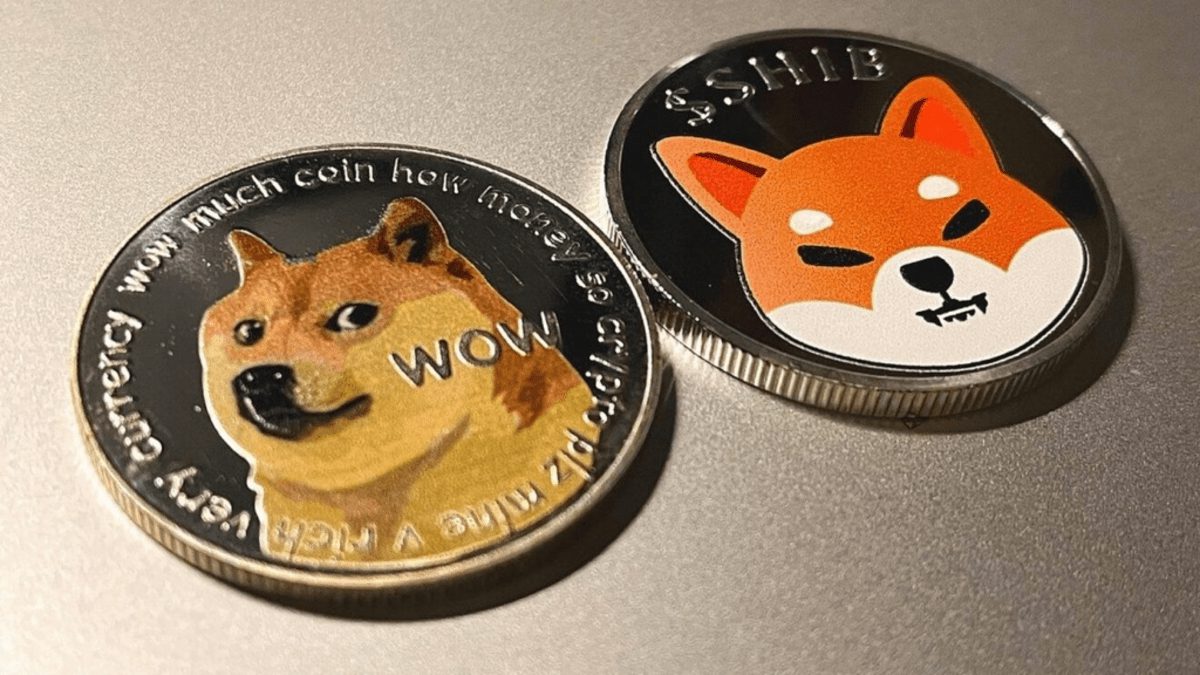 کارشناس از Shiba Inu، Dogecoin، و سرمایه گذاران Bonk می خواهد “به ویژه محتاط باشند”