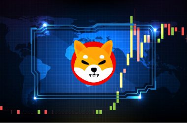 Shiba Inu: Burn Rate and Price Drops After Recent Pump