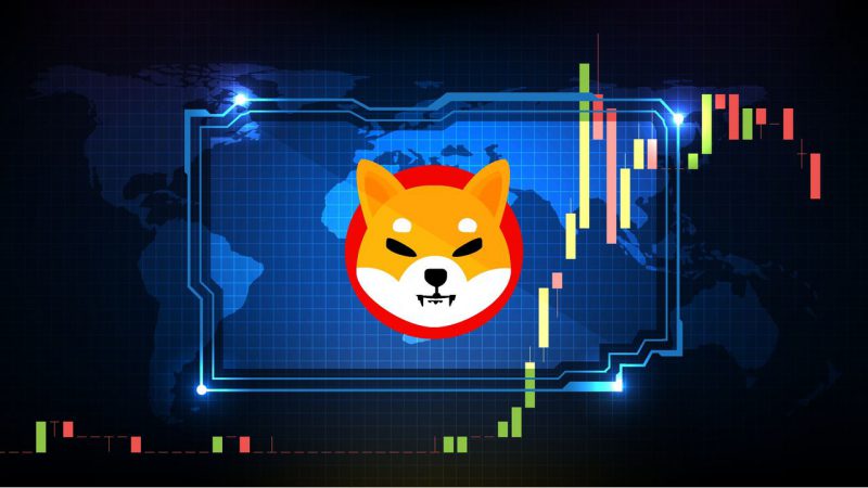 Shiba Inu: Burn Rate and Price Drops After Recent Pump