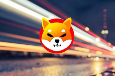 Shiba Inu Bokeh City Lights