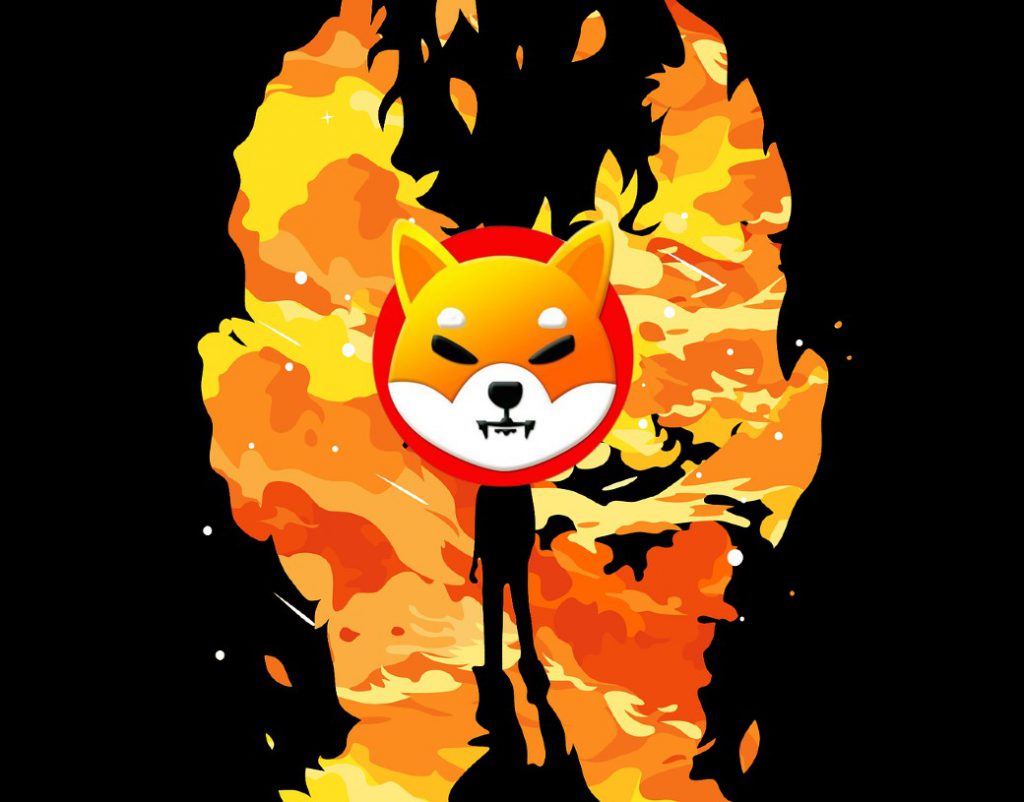 shiba inu burns token