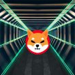 Shiba Inu