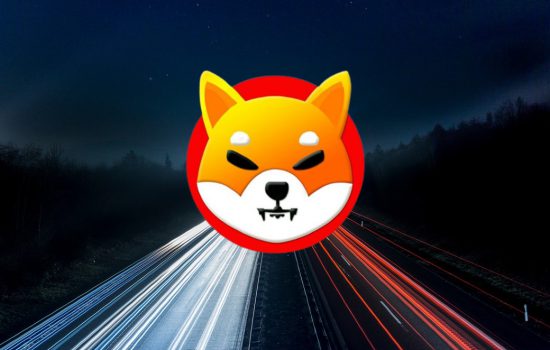 Shiba Inu Lights