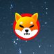 Shiba Inu
