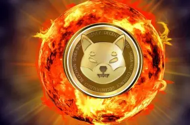 Shiba Inu Resumes its Soaring Burn Streak, Spikes by 120%