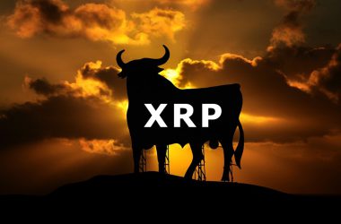 XRP Ripple Bull Run