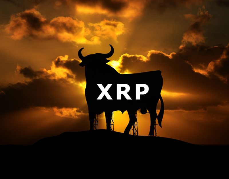 XRP Ripple Bull Run