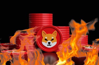 Shiba Inu Price Drops by 4% as Burn Rate Slumps by 91%