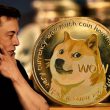 Can Elon Musk Save Dogecoin from its Downfall?