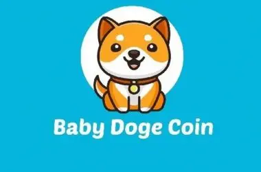 Baby Doge Shiba Inu
