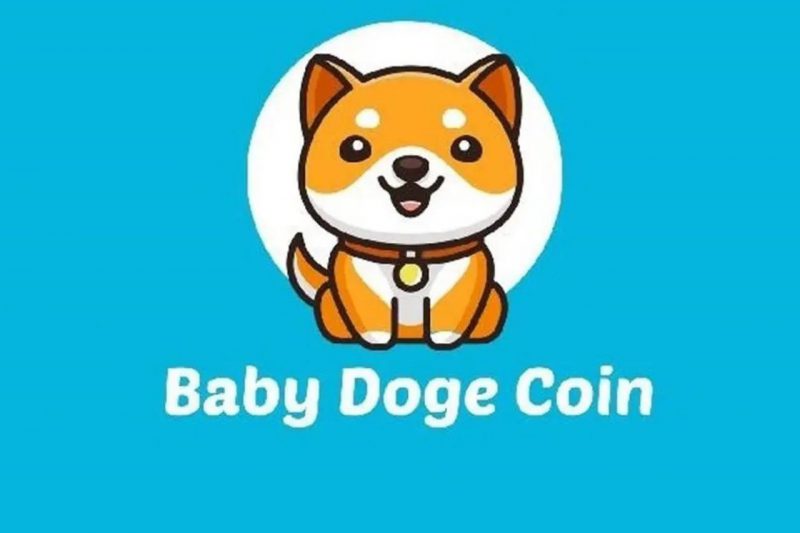 Baby Doge Shiba Inu