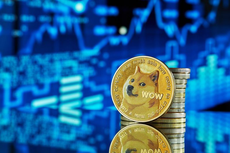 359 Million Dogecoin on the Move by Top Whale, Price Reacts