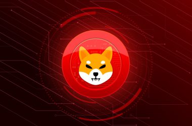 Shiba Inu