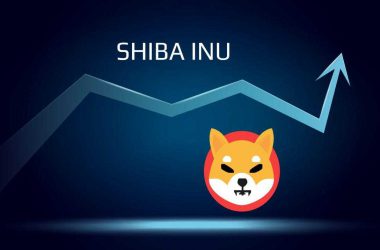 Shiba Inu Profitability Plummets Alongside Burn Rate