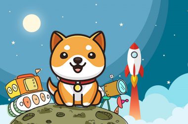 Baby Doge Coin Moon