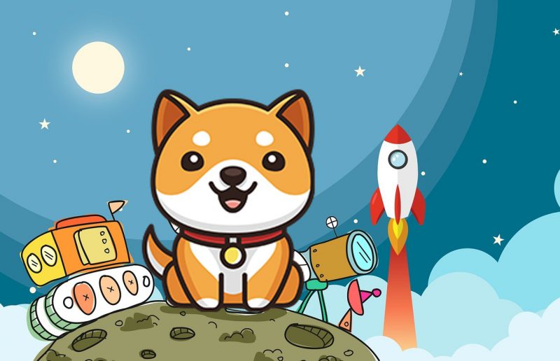 Baby Doge Coin Moon