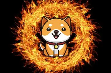 baby doge coin burn