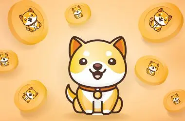 Baby Doge Coin Burn Portal to Go Live on Monday, Enters 78th Rank