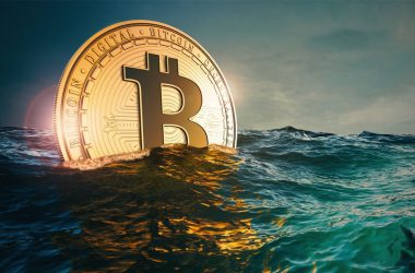 Bitcoin BTC Whale Water