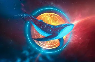 crypto whales