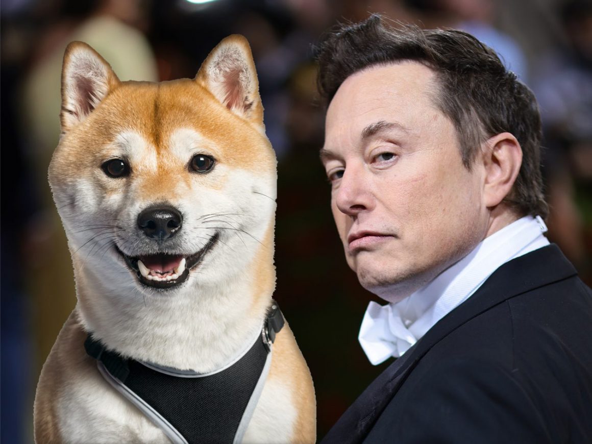 Elon Musk Announces Dogecoin's Shiba Inu Dog as the New CEO of Twitter