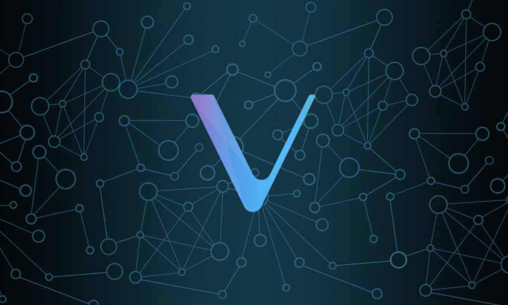 Vechain февраль 2024