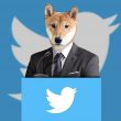 Dogecoin Shiba Inu Floki Elon Musk Twitter CEO