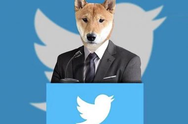 Dogecoin Shiba Inu Floki Elon Musk Twitter CEO