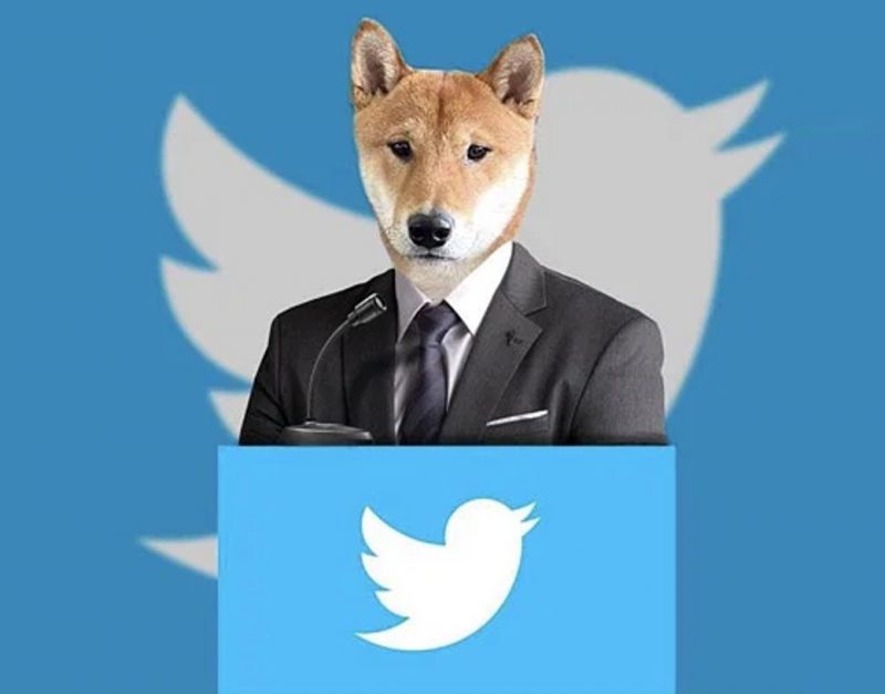 Dogecoin Shiba Inu Floki Elon Musk Twitter CEO