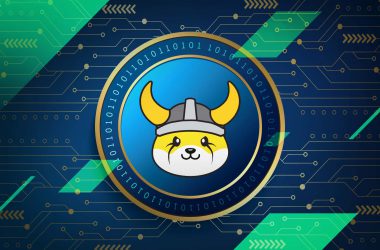 Floki Inu Now Accepted as Collateral for Lending on Venus Protocol