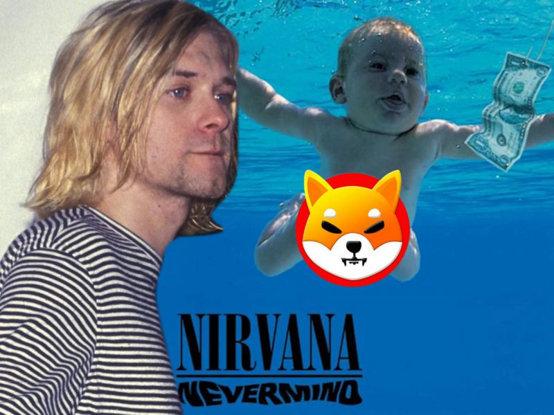 Shiba Inu Nirvana Kurt Cobain