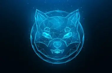 Shiba Inu: Burn Rate Drops as Prices Plummet