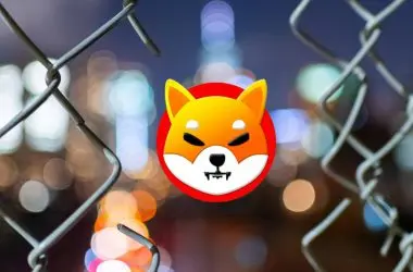 Shiba Inu