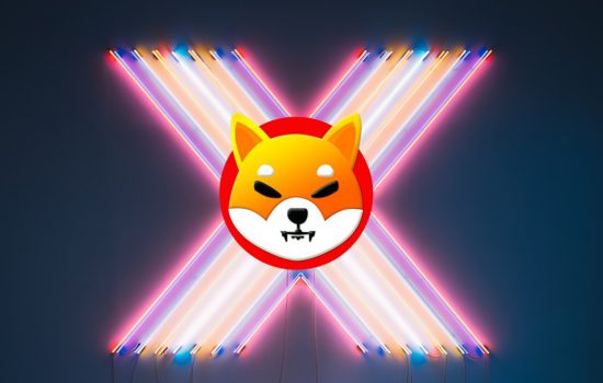 Shiba Inu Lights