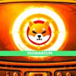 shiba inu shibarium