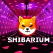 Shiba Inu Shibarium