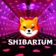 Shiba Inu Shibarium