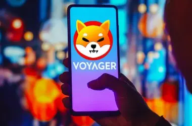 bankrupt voyager cryptocurrency brokerage shiba inu