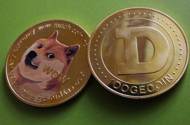 58% Of Dogecoin (DOGE) Holders in Profit as Price Spikes