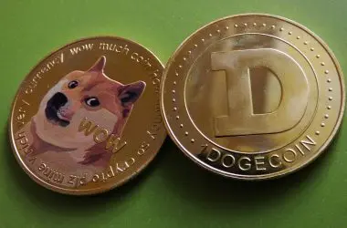 58% Of Dogecoin (DOGE) Holders in Profit as Price Spikes