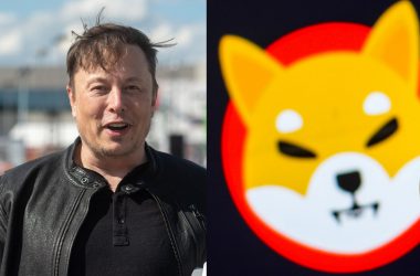 Elon Musk’s Recent Tweet Grabbed Attention of Shytoshi and SHIB Army