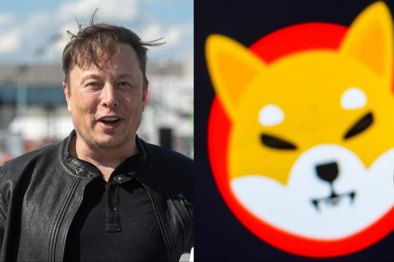 Elon Musk’s Recent Tweet Grabbed Attention of Shytoshi and SHIB Army